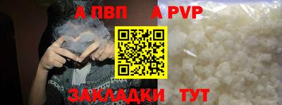 СК Тверь