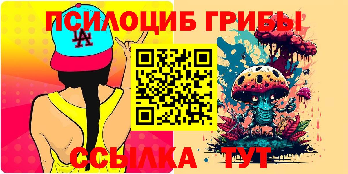 Псилоцибиновые грибы MAGIC MUSHROOMS  Вход с VPN  цены   Аша 