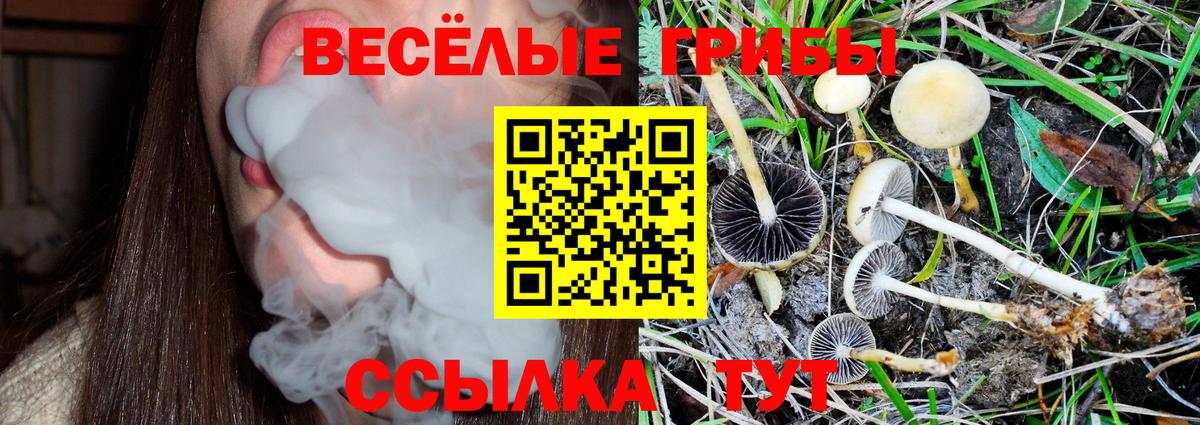 Псилоцибиновые грибы Psilocybine cubensis Аша